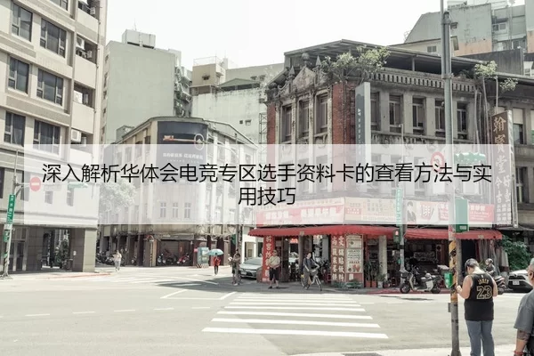 深入解析华体会电竞专区选手资料卡的查看方法与实用技巧